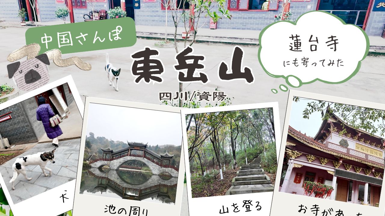 四川省資陽市の東岳山を歩く｜中国・四川の地元に愛される静かな山