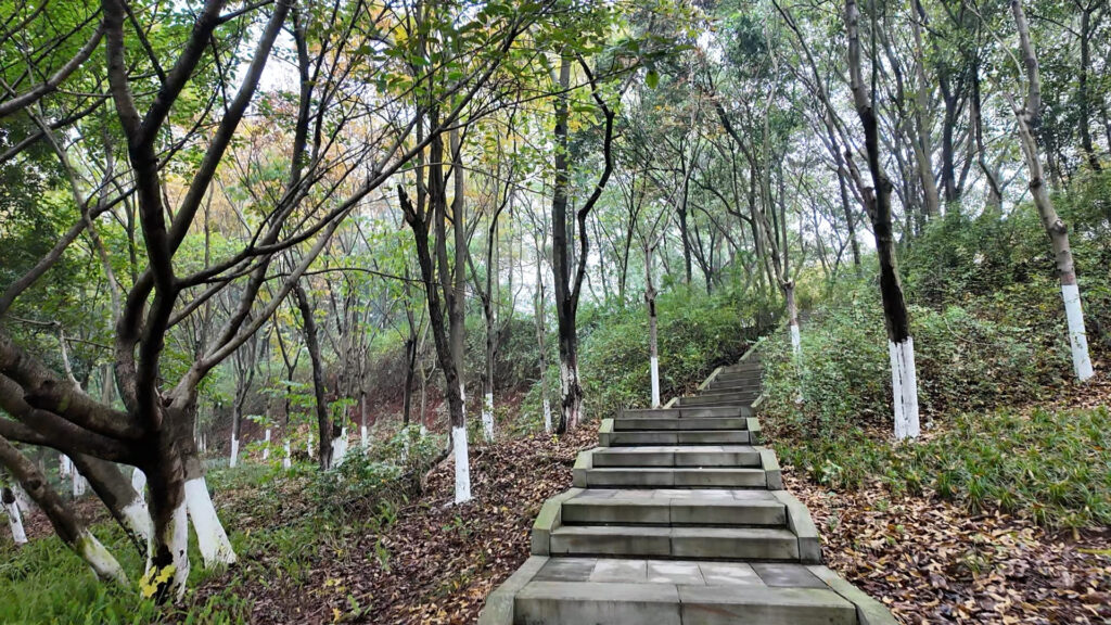 四川省資陽市の東岳山を歩く|中国・四川の地元に愛される静かな山