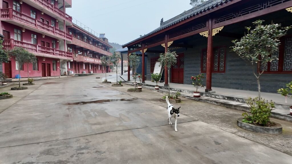 資陽市の東岳山の上にある蓮台寺の犬