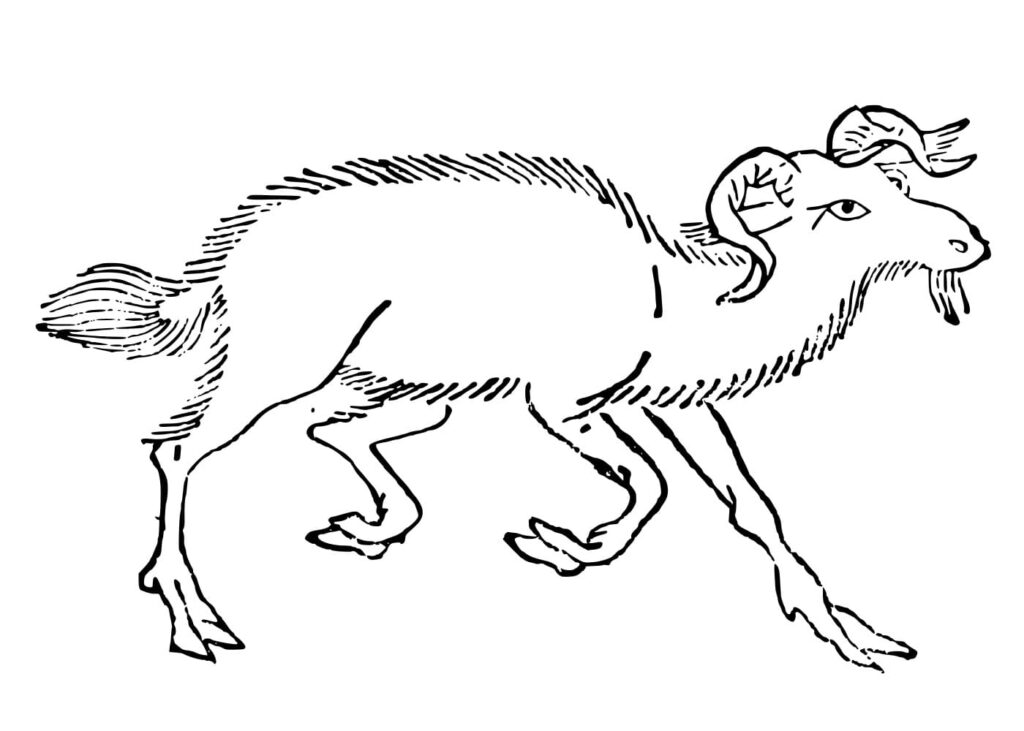 䍺は、古代中国の伝説的動物。そのさまは羊のようで口がなく、殺すことができない、その名を䍺という。『山海経』掲載。