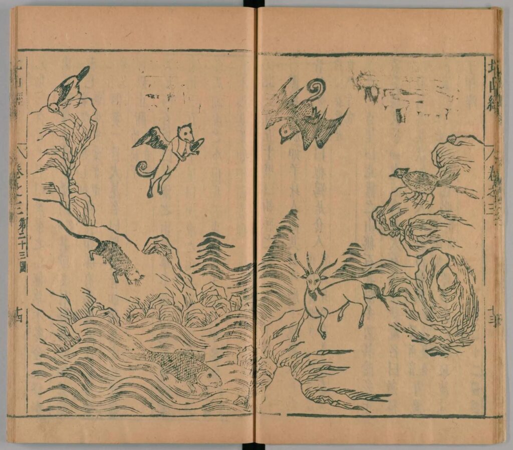 天馬についての資料