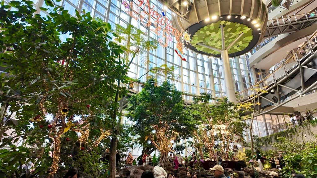 光環ショッピングモール室内植物園「沐光森林」